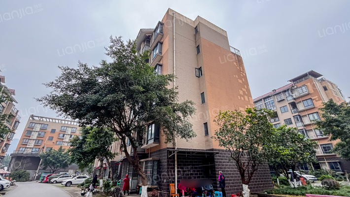 龙锦新园外景图