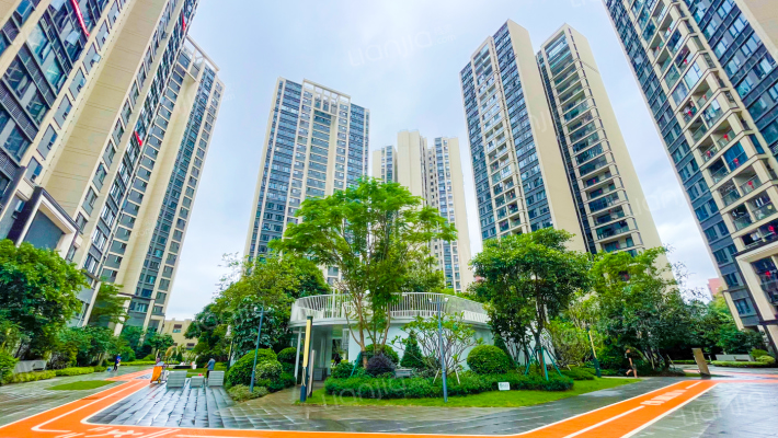 新希望金洲府外景图