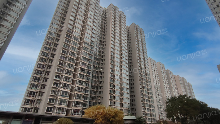 白云小区橄榄季外景图