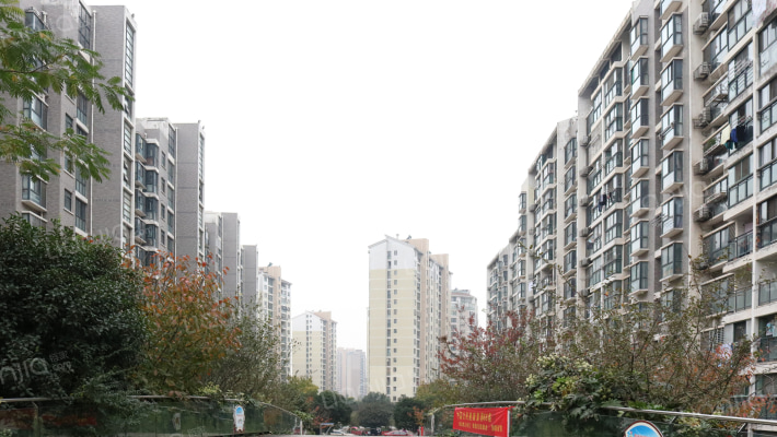 滨湖春天外景图