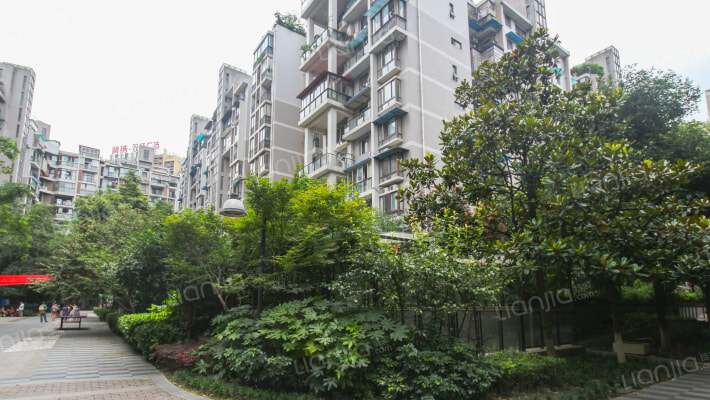 万树森林一期外景图