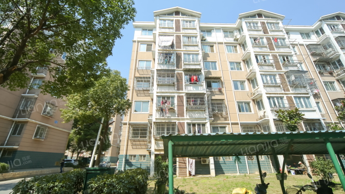 盛江花苑银杏园外景图