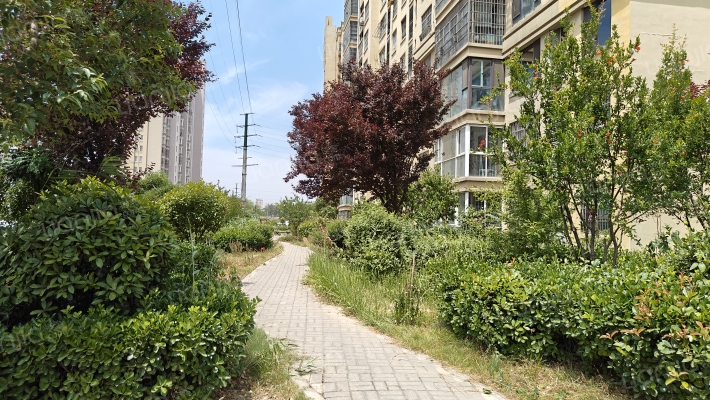 秦梁洪佳苑外景图