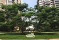 麓山国际半月湾12