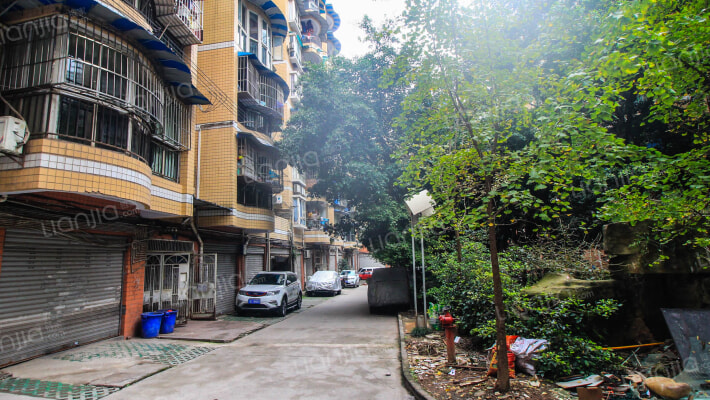 金燕家园外景图