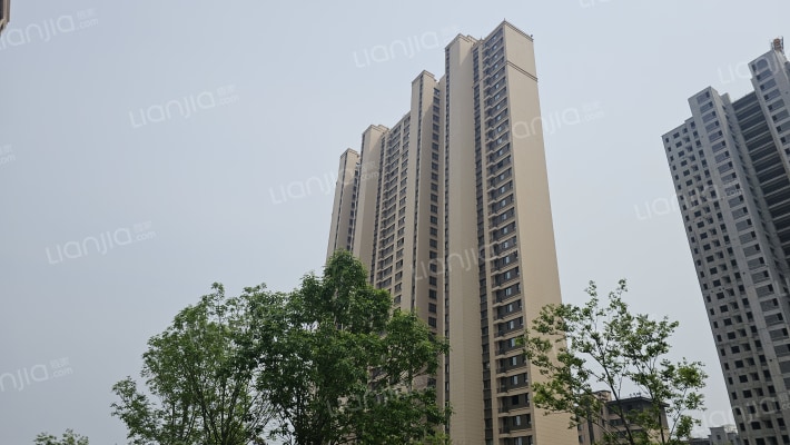 中南·紫云集外景图