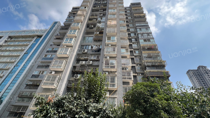 市畜牧局家属院外景图