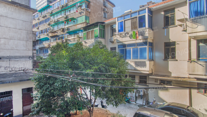 新华街448号外景图