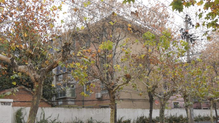 许昌学院西家属院二号区外景图