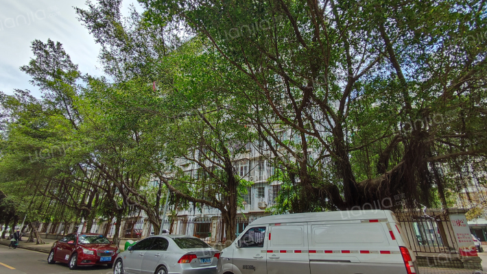 省建设厅宿舍外景图