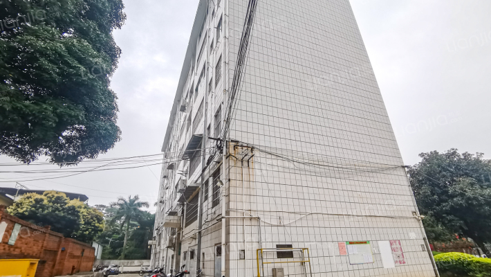 广西职业师范学院职工宿舍外景图