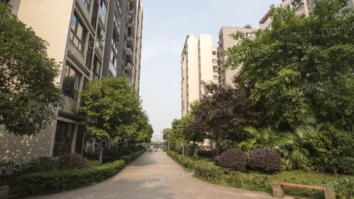 永缘寓乐圈外景图