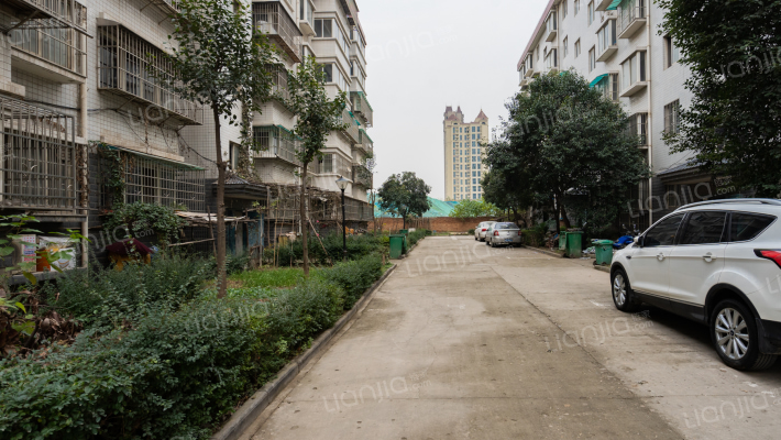 灞柳春天外景图