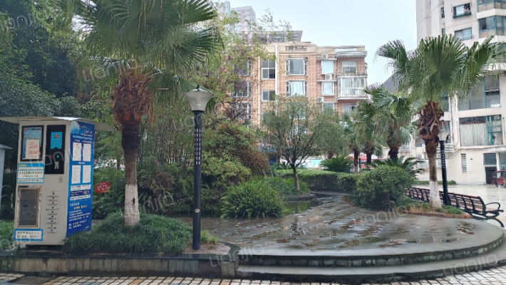 港湾丽景外景图