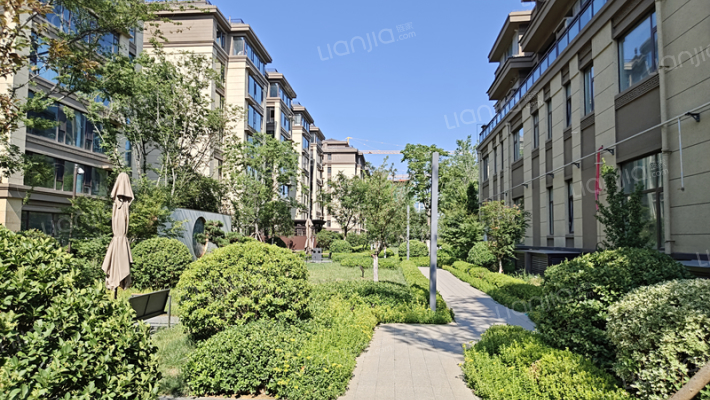 国泰绿城月桥锦庐外景图