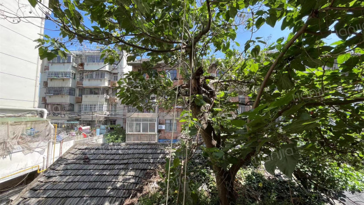 霍邱路48号外景图