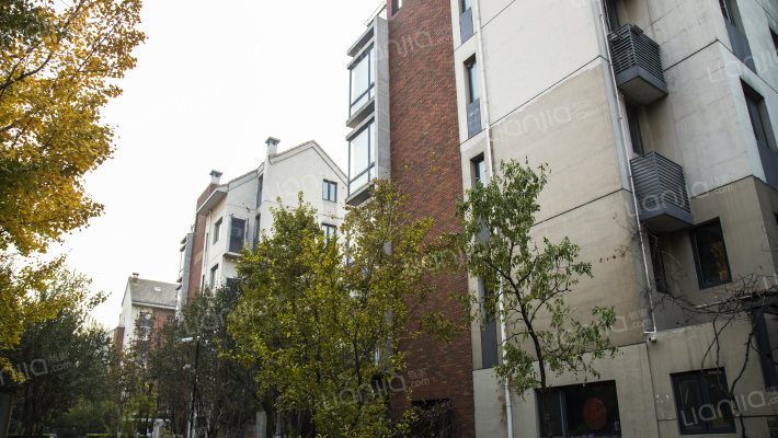 万科水晶城依云园外景图