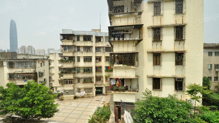 新园路39号大院外景图