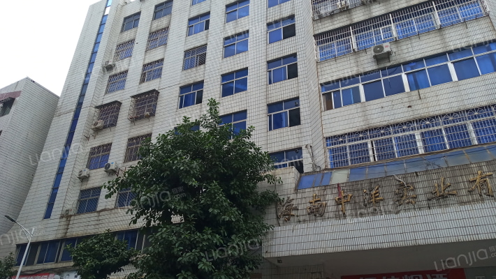 中洋大厦外景图