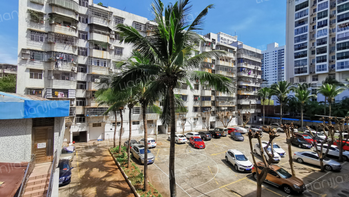 海口市财政局宿舍外景图