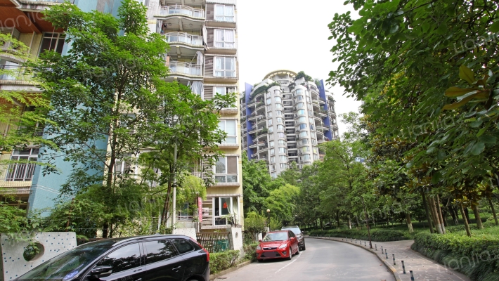 南方上格林黄桷苑外景图