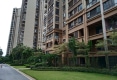 绿地海森林5