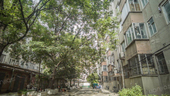 豫财家属院外景图