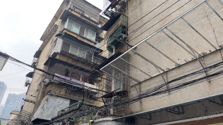 直属机关第二幼儿园家属院外景图