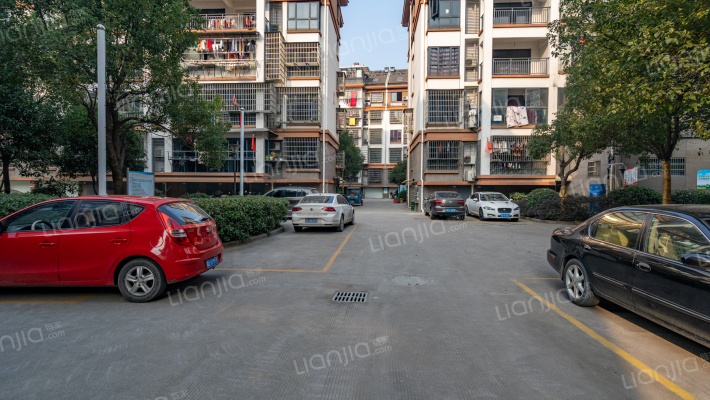 绿叶锦园外景图