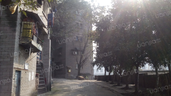 东风社区外景图