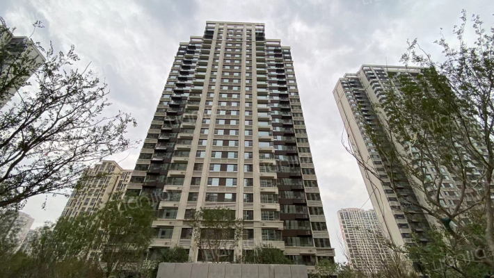 鲁能领秀城四区外景图