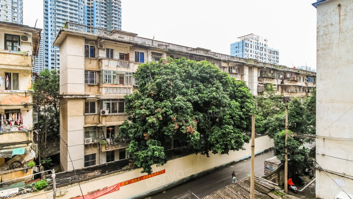 区外办旅游系统宿舍区外景图