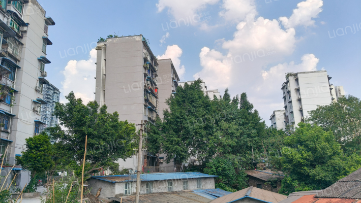 西郊四村外景图