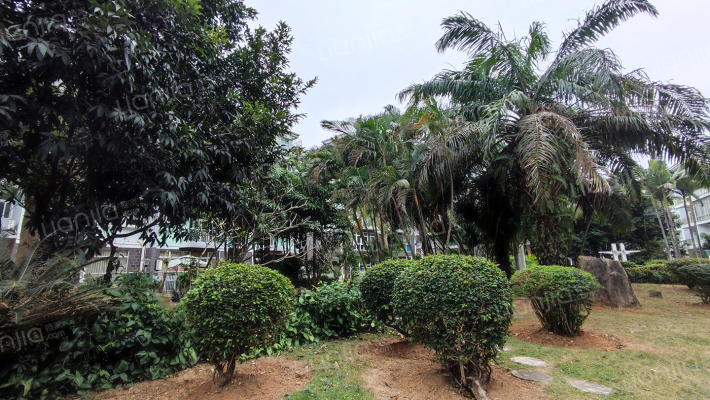 金盘雅苑外景图