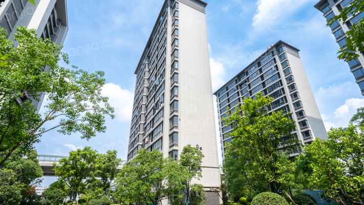 黄酒小镇映兰园外景图