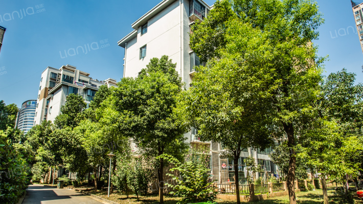 经晨红星城市花园外景图