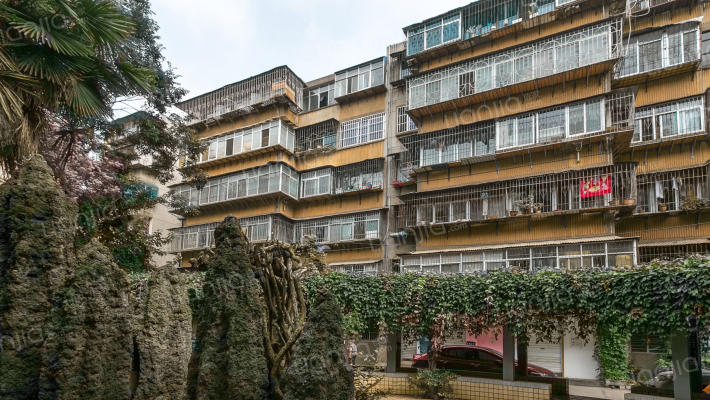 天君殿巷14号外景图