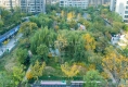 正商瑞钻12