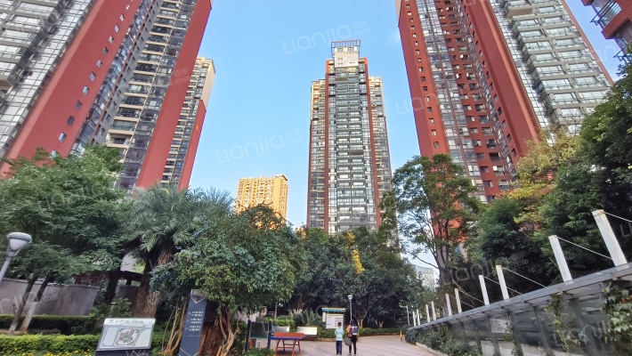 经典双城C区外景图