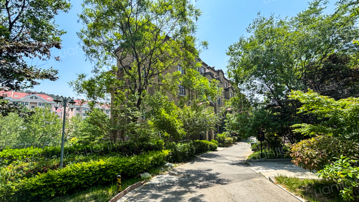 正商红枫谷外景图