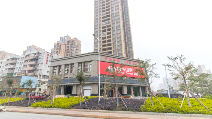 诚讳丽苑外景图