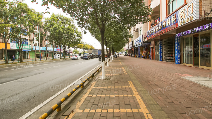 阜沙大道外景图