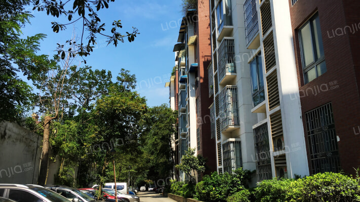 滨江河畔外景图