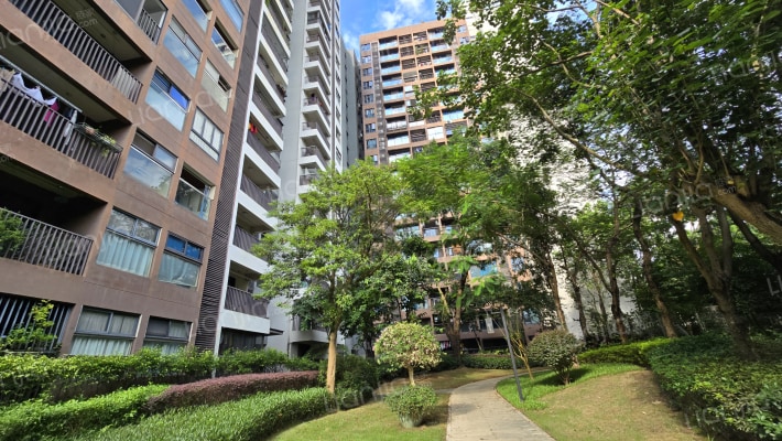 万科棠樾四期外景图