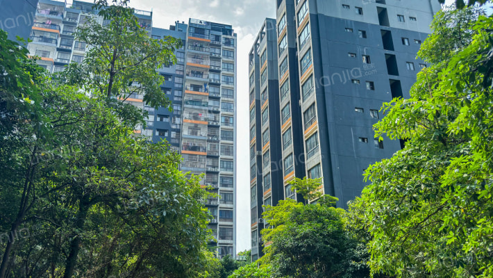 大嘉汇•东城外景图