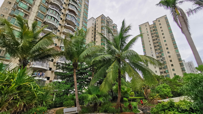 市政花园外景图