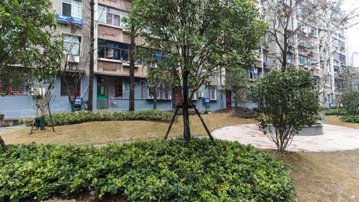 八一小区外景图