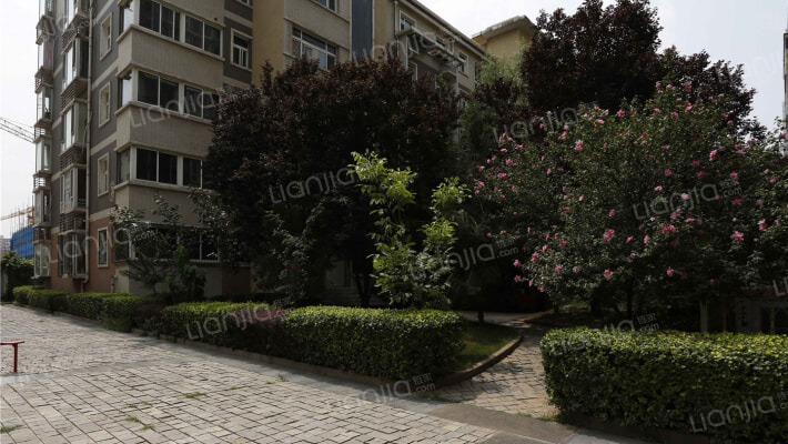 北美枫情外景图