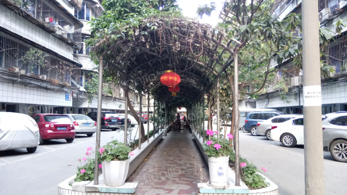 铜井巷9号外景图