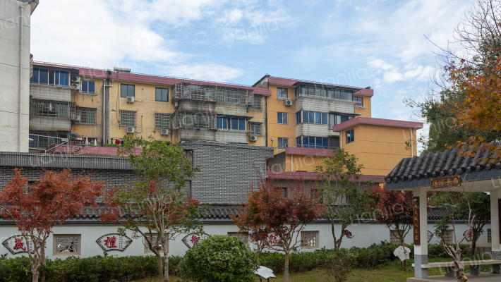 越兴东路外景图